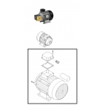 Pompes et moteurs Moteur pompe 230 volts 2.3 kw NHP 6640